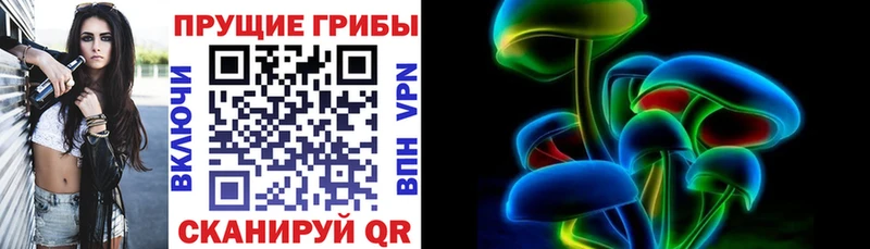 купить закладку  Ужур  Псилоцибиновые грибы MAGIC MUSHROOMS 